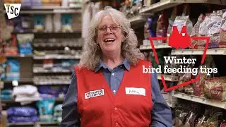 Winter Bird Feeding Tips | Tractor Supply Co.