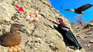 😰🏔The challenge of the difficult mountain of collecting eggs in the Zagros