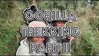 GoodwinSZN Travel: Gorilla Trekking In Rwanda Part II