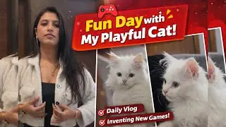 Fun Day with My PLAYFUL Cat 🐱 | He Invented New Games 🎮