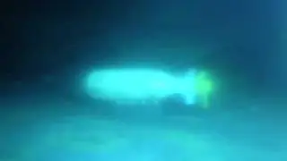 Sinking of HMS Courageous by U-29 (1939-2009)