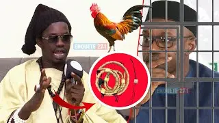Urgent un marabout proSonko fait de grosses r&eacute;v&eacute;lations sur l&rsquo;avenir du leader de pastef