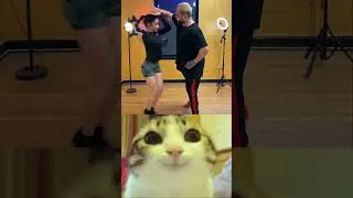 Can you hear it? POW 💥 🥊🤯 #usa #cat #reaction #shorts #america