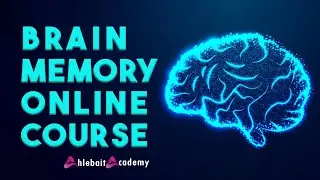 The best Memory Course (Intro) in Urdu/Hindi