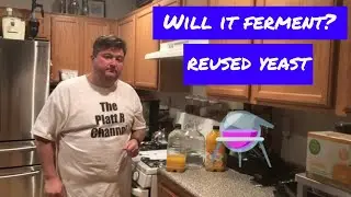 Will it ferment? Reused Yeast
