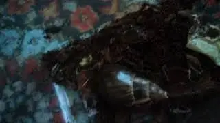 MOV03857