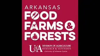 New fertilizer decision tool could save farmers money and help the environment