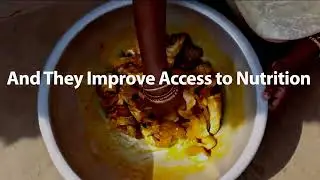 Aquatic food systems are a climate change solution. Here&rsquo;s how in 60 seconds.