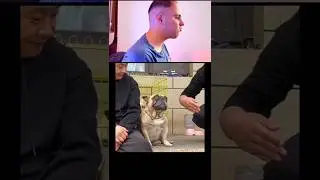 try not to laugh challenge155 #funny #shorts #vira