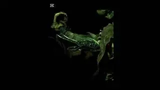 Бедный Гулдан, я знал его! #warcraft #orcs #horde #alliance #worldofwarcraft #guldan #illidan #games