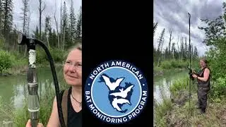 Bat Roost Enhancement in the Columbia Valley: WCS Canada