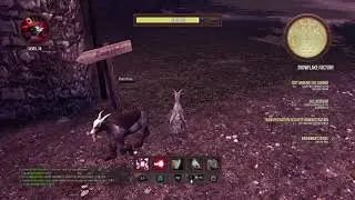 Try ing to head butt a hollagram