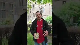 Archaeology at Cambridge University
