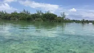 San pedro la Isla bonita Belize C.A ☀️🐠