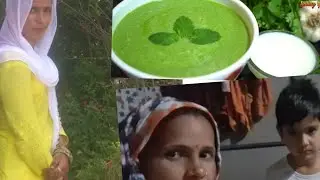केसे बनाई मेने पोदिने कि चटनी 
