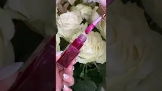 Guerlain kiss kiss glow oil 🍇вау с первого нанесения! #бьютиблог #lipoil #guerlain #маслодлягуб