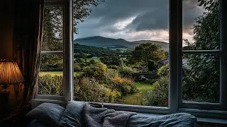 Relaxing Summer Evening Rain In Ireland🌧️Calm Rain Ambience For Reading, Sleeping, Etc.
