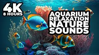4K Aquarium Video For Cats Relaxing 🐠 Nature White Noise 8 Hours
