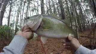 Caught the pond MONSTER! - (Secret Pond),