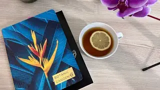 СИСТЕМА ДЕНЕЖНЫХ КОНВЕРТОВ / ВСЕ ПОТРАТИЛА / ДОЛГ 1,5 МИЛЛИОНА