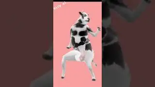 asdasdasd
