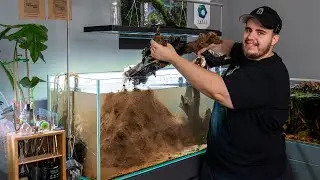 Das Ende vom 300L Wald Diorama Aquarium!