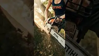 Thử th&aacute;ch cưa c&acirc;y cổ thụ che khuất tầm nh&igrave;n tại một ng&ocirc;i ch&ugrave;a cổ của Maika