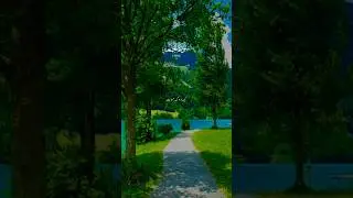 surah Jumu'ah #Quran#verse '8#quranictranslation#islamic videos #jumuahmubarak#Recitation#viral