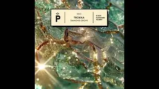 Tecwaa -  Jazz Sushi (Original MIx) [Playground Records]