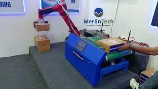 High-speed robotic palletizing and pick & place solution improving efficiency and reducing manpower