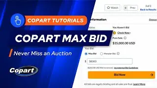 Покупайте автомобили прямо сейчас и избегайте аукциона Copart.