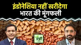 Commodity Market : इंडोनेशिया ने भारतीय मूंगफली के इंपोर्ट क्यों लगाई अस्थायी रोक? Trading