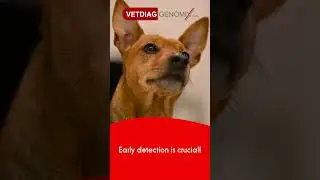 🔬🐾 Early Diagnosis for Your Pet's Health 🐾🔬