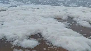 هذا أحسن مصيد نواحي الدار البيضاء  رغما الأجواء #fishing #fishingvideo #surfcasting #صيد #مونتاج 