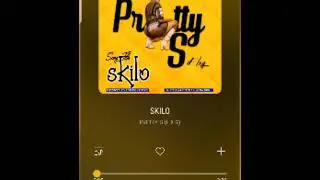 PRETTY S - SKILO ( LXG )