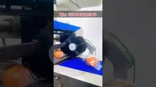Flow Pack | Fruit Packaging Machine
