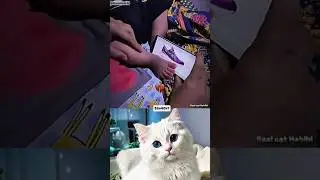 Dear don't online shopping 💀 #funny #cat #memes #trend