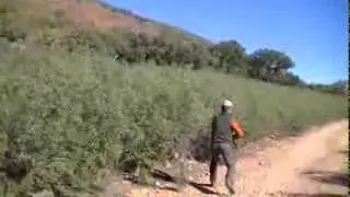 navatrasierra. lance cristobal.
