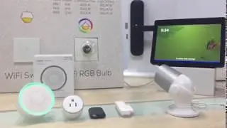 Alexa Holistic Security System Europe