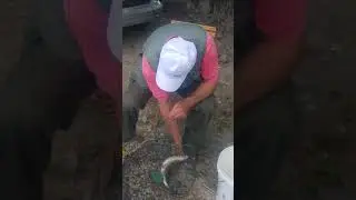 Paride 24-06-2021 a trote; 1&deg; volta a Castrola