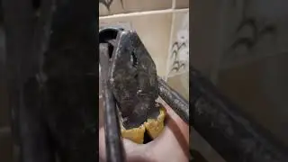 como tirar a conta sede da valvula hidra sem a chave apropriada?