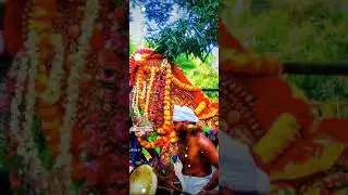 ⚜️pallana sree porkalii sree mahadeva temple🙏#pallanaamma #pallanakuttigal