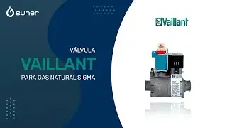 V&aacute;lvula Vaillant para gas natural Sigma (C&oacute;digo Suner: VA053560)