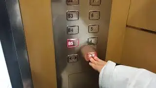 광주광역시 동구 독립로 268 롯데백화점 대인점 (대인동) OTIS엘리베이터 탑사기