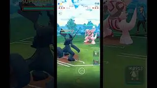 ✨Zekrom V/S✨Palkia PVP Legendary Fight in #pokemongo