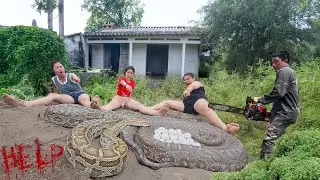So Dangerous | Ancient Anaconda Lair Found In Abandoned House. clean up abandoned house