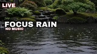Live Rain Sounds for Focus & Study: Zen Garden Pond (No Music)