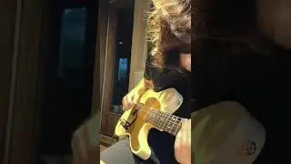 Mateus Asato || Bruno Mars - Versace On The Floor