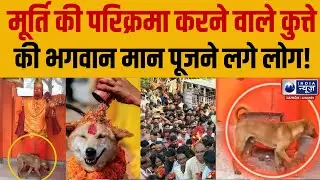 Bijnor Viral News : मूर्ति की परिक्रमा करने वाला कुत्ता बना आस्था का केंद्र, दर्शन के लिए लगी लाइन |