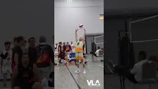 Phoenix Valor #vlavolleyball #volleyball #shorts #short #jayrachz  #jayrachz9999 #viralvideos